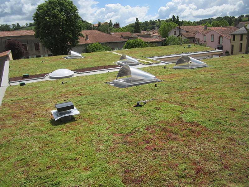 Toitures végétalisées