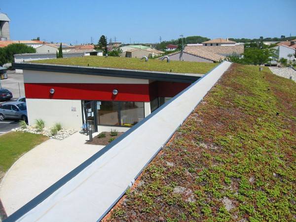 Toitures végétalisées
