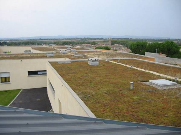 Toitures végétalisées